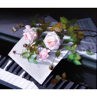 Молчанова Татьяна Геннадьевна