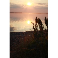 Быкова Наталья Юрьевна