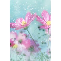 Котлиярова Гульфия Ринатовна