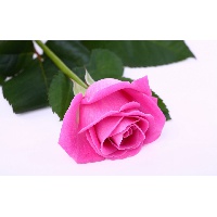 Полтева Галина Николаевн