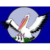 Багаева Виолетта Владимировна