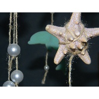 Новиченко Ирина Юрьевна