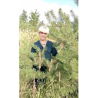 Павлова Эльза Арефьевна