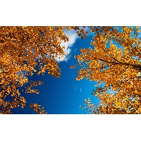 Смирнова Нина