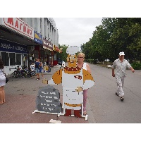 Жарская Елена Александровна