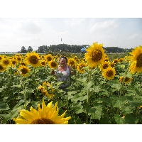 Тимошенко  Татьяна Владимировна