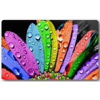 Каширская Валентина Алексеевна