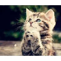 камызина лилия владимировна