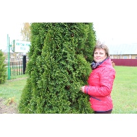 Максимова Светлана Николаевна