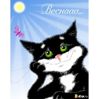 Домнина Валентина Владимировна