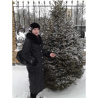 Гапоненко Елена Владимровна