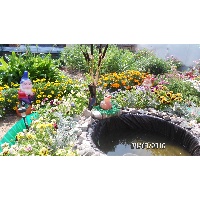 Белослудцева Надежда Витальевна