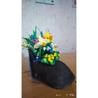 Шаповалова Виктория Владимировна