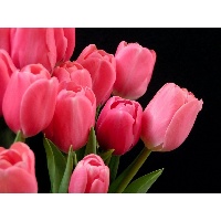 Новикова Наталья Александровна