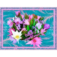 Степанищева Екатерина Сергеевна