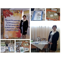 Меха Виктория 