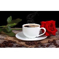 Ягодкина Елена Ивановна