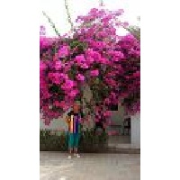 Усачёва Любовь Ивановна