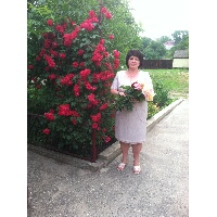 Милешина Валентина Николаевна