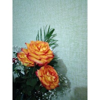 Ольга Иванова