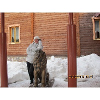 тисленок елена алексеевна