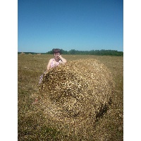 Петухова Екатерина Николаевна