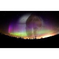 Каргина Евгения Вячеславовна