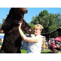 Бывшевой Светланы Николаевны