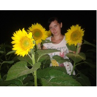 Шарайкина Юлия Александровна