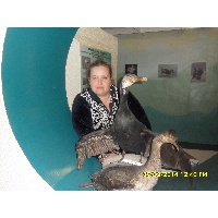 Галич Анна Сергеевна