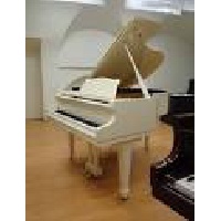 Серёгина Светлана Юрьевна