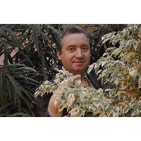 Миникаев Тимур Раисович