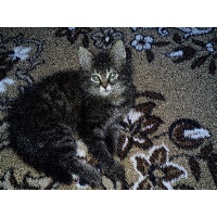 Федерякина Юлия Сергеевна