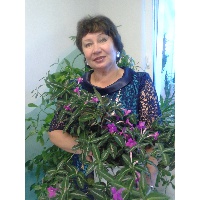 насонова наталья анатольевна