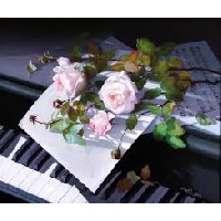 Колесник Наталья Николаевна