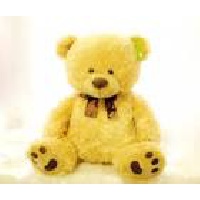 Родионова Маргарита Викторовна