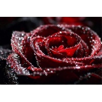 Багрова татьяна Вениаминовна