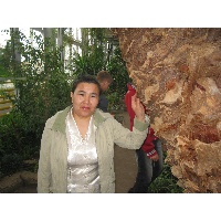 Касибаева Жибек Айтжановна