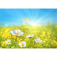 Галынская Ольга Алексеевна