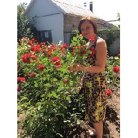 Волобуева Мария Викторовна