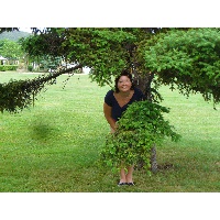 Дегтярева Мария Игоревна