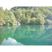 Гиря Елена Геннадьевна