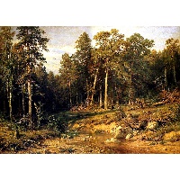 Терентьева Светлана Николаевна