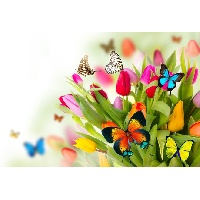 Берестова Екатерина Андреевна