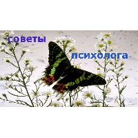 Зубкова Марина Владимировна