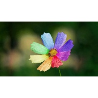 Большакова Татьяна Альбертовна