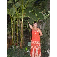 Плотникова Анна Николаевна