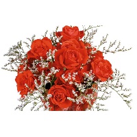 Липатова Алина Владимировна