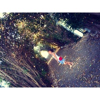 Кочнева Светлана Николаевна