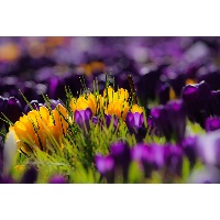 Олейник Оксана Вячеславовна